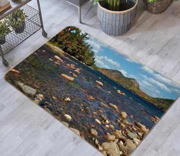 3D Small Stone Water 62048 Kathy Barefield Rug Non Slip Rug Mat