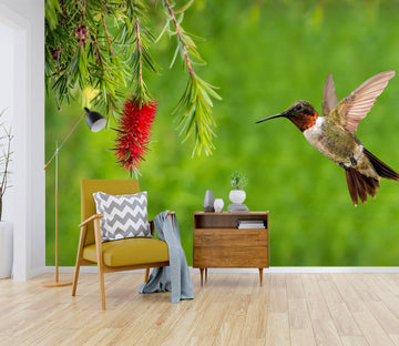 3D Magpie Grass 126 Wall Murals Wallpaper AJ Wallpaper 2 