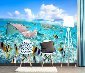 3D Sea Fish School Dolphin 488 Wallpaper AJ Wallpaper 2 