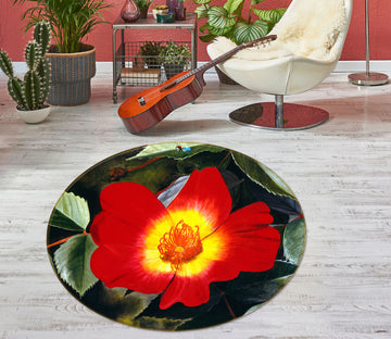 3D Red Flowers 11095 Matthew Holden Bates Rug Round Non Slip Rug Mat