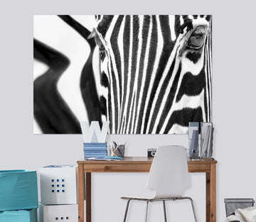 3D Zebra Pattern 118 Marco Carmassi Wall Sticker Wallpaper AJ Wallpaper 2 