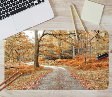 3D Fallen Leaves Path Trees 12444 Assaf Frank Desk Mat