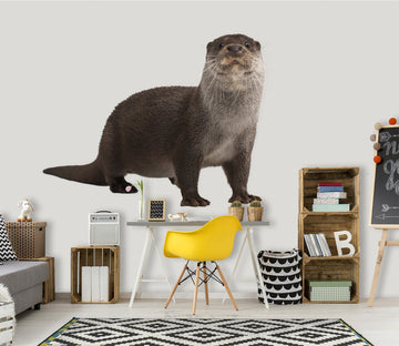 3D Sitting Sea Lion 085 Animals Wall Stickers Wallpaper AJ Wallpaper 