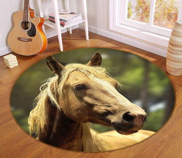 3D Brown Horse 82237 Animal Round Non Slip Rug Mat