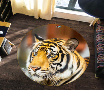 3D Tiger 81178 Round Non Slip Rug Mat