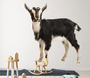 3D Grey Lamb 136 Animals Wall Stickers Wallpaper AJ Wallpaper 