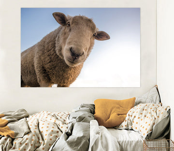 3D Sheep 112 Animal Wall Stickers Wallpaper AJ Wallpaper 2 