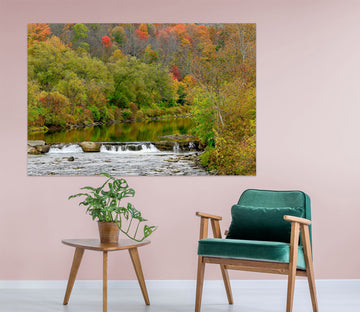 3D Forest 111104 Kathy Barefield Wall Sticker