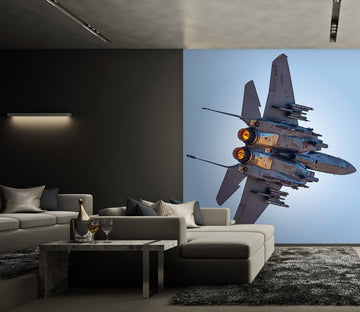 3D Fighter Airplane 9112 Alius Herb Wall Mural Wall Murals
