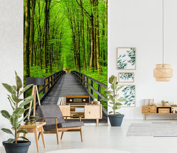 3D Forest Path 1536 Wall Murals Wallpaper AJ Wallpaper 2 