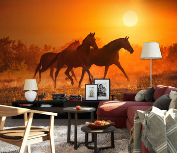 3D Sunset Horse 2028 Wall Murals Wallpaper AJ Wallpaper 2 