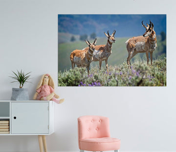 3D Pronghorn Antelope 002 Kathy Barefield Wall Sticker Wallpaper AJ Wallpaper 2 