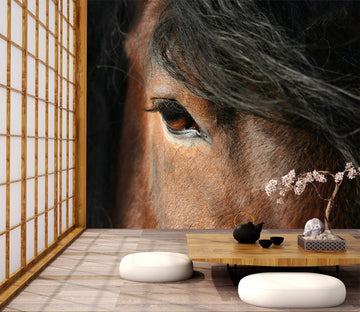 3D Horse Eye 177 Wall Murals Wallpaper AJ Wallpaper 2 