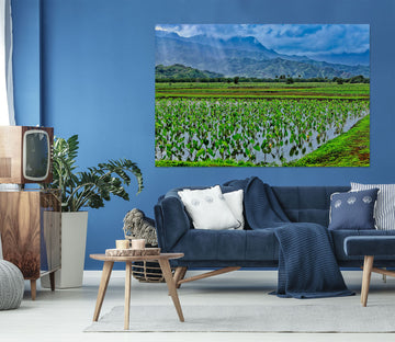 3D Taro Fields 11199 Kathy Barefield Wall Sticker