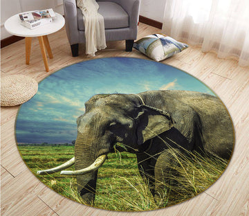 3D Elephant Grass 82213 Animal Round Non Slip Rug Mat