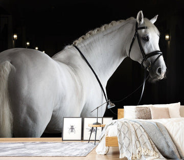3D Pretty Horse 370 Wall Murals Wallpaper AJ Wallpaper 2 