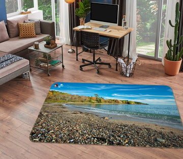3D Coastline Color 62040 Kathy Barefield Rug Non Slip Rug Mat