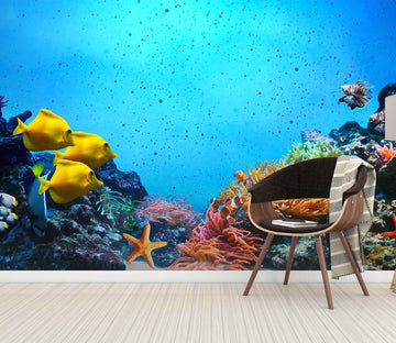 3D Coral Starfish 364 Wall Murals Wallpaper AJ Wallpaper 2 