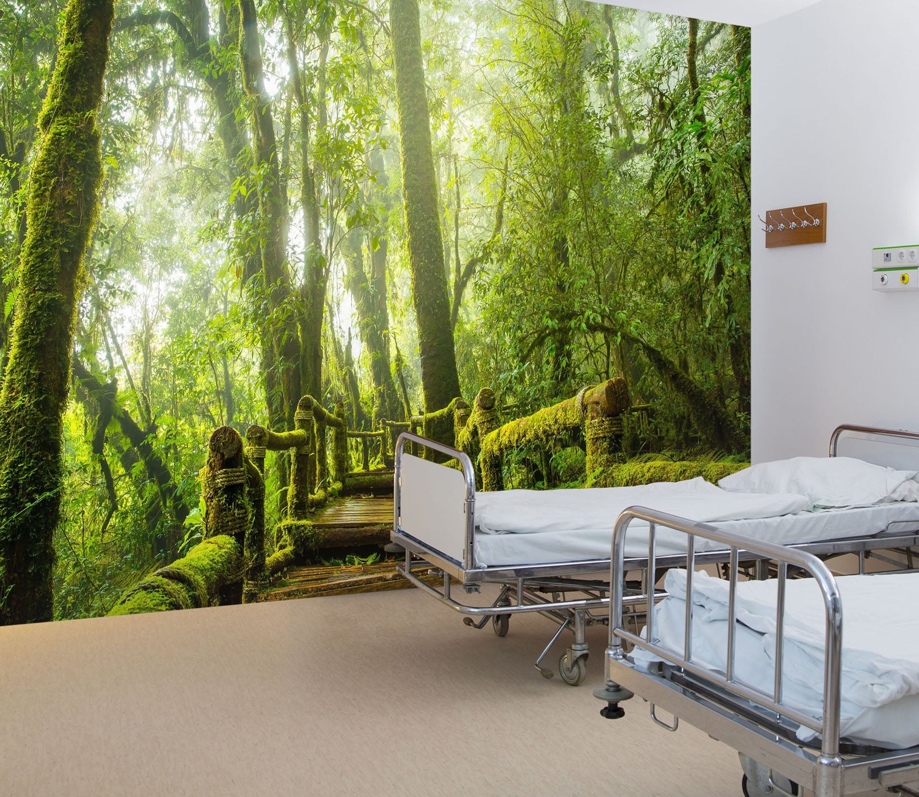 3D Tropical Rain Forest 042 Wall Murals Wallpaper AJ Wallpaper 2 