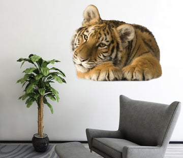 3D Listless Tiger 175 Animals Wall Stickers Wallpaper AJ Wallpaper 