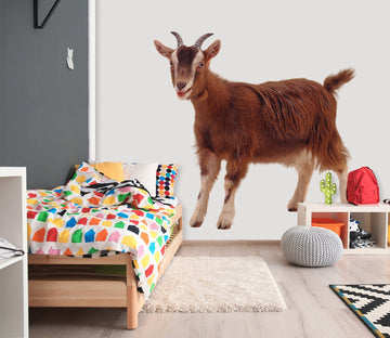 3D Short Tail Sheep 013 Animals Wall Stickers Wallpaper AJ Wallpaper 