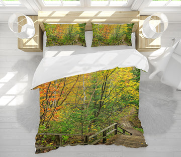 3D Forest Staircase 62012 Kathy Barefield Bedding Bed Pillowcases Quilt