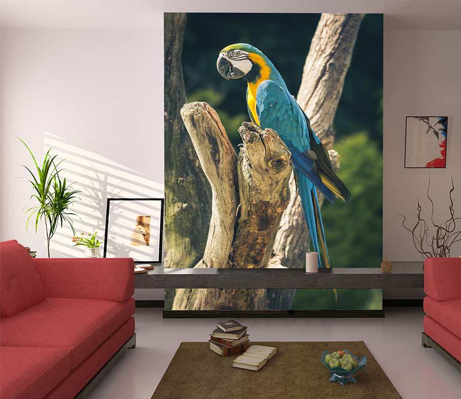 3D Color Parrot 1093 Wall Murals