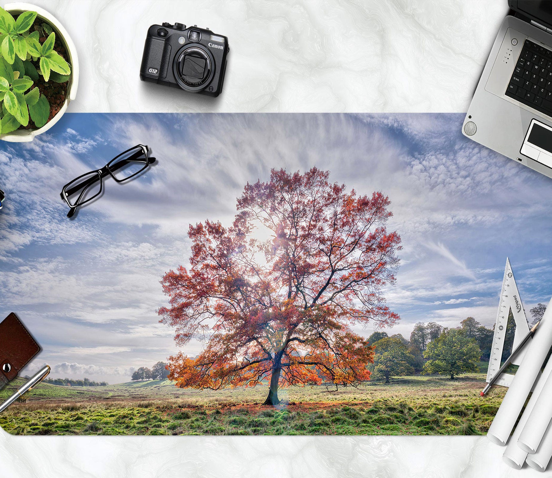 3D Grassland Tree 12438 Assaf Frank Desk Mat