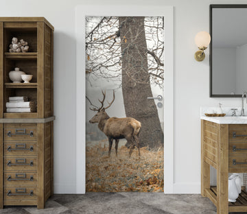 3D Tree Grass Deer 106193 Assaf Frank Door Mural