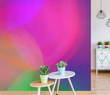 3D Colored 70102 Shandra Smith Wall Mural Wall Murals