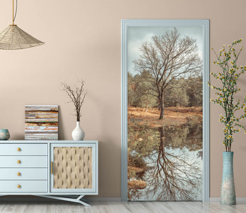 3D Forest Creek 5133 Assaf Frank Door Mural