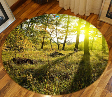 3D Forest Sunlight 80293 Round Non Slip Rug Mat