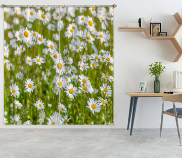 3D White Daisy 6562 Assaf Frank Curtain Curtains Drapes