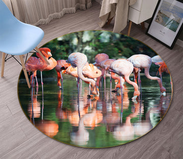 3D Flamingo Group 82223 Animal Round Non Slip Rug Mat