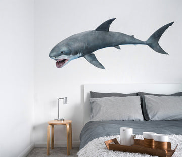 3D Whale Mouth 146 Animals Wall Stickers Wallpaper AJ Wallpaper 