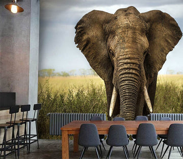 3D Steppe Elephant 1071 Wall Murals Wallpaper AJ Wallpaper 2 