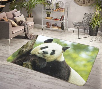 3D Adult Panda 114 Animal Non Slip Rug Mat