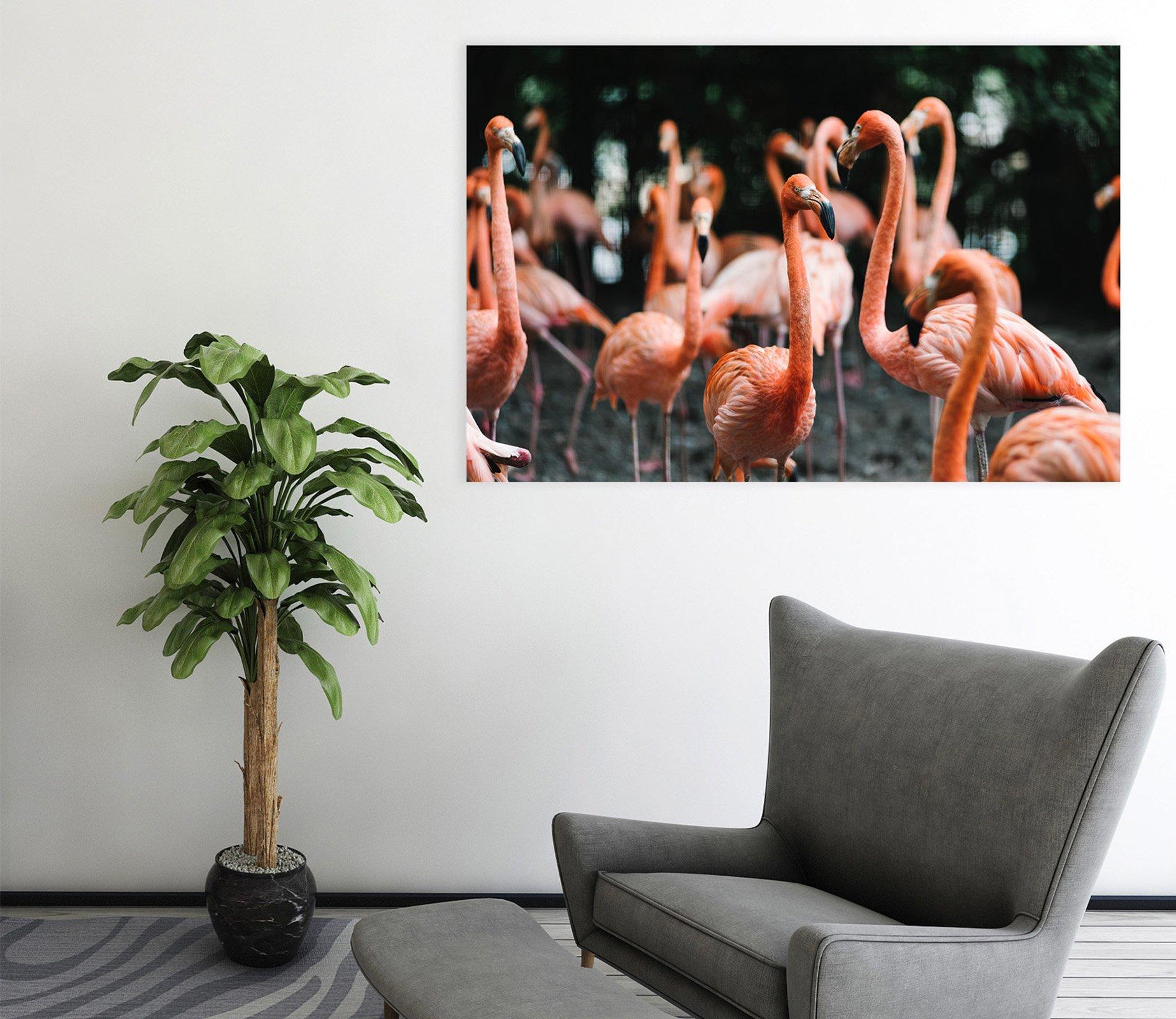 3D Playful Flamingo 59 Animal Wall Stickers Wallpaper AJ Wallpaper 2 