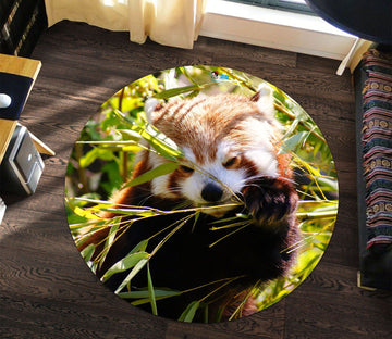 3D Red Panda 4163 Round Non Slip Rug Mat Mat AJ Creativity Home 