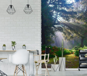 3D Sunny Forest 2096 Wall Murals Wallpaper AJ Wallpaper 2 