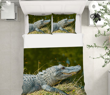 3D Crocodile 21041 Bed Pillowcases Quilt
