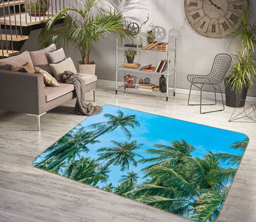3D Coconut Grove 31101 Non Slip Rug Mat