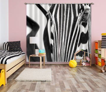 3D Zebra Lines 058 Marco Carmassi Curtain Curtains Drapes Curtains AJ Creativity Home 
