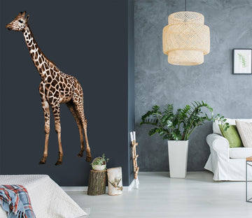 3D Giraffe's Legs 151 Animals Wall Stickers Wallpaper AJ Wallpaper 