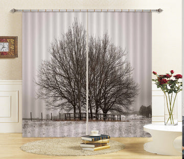 3D Black Dead Tree 051 Assaf Frank Curtain Curtains Drapes