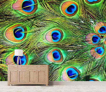 3D Peacock Feather 1 Wallpaper AJ Wallpaper 