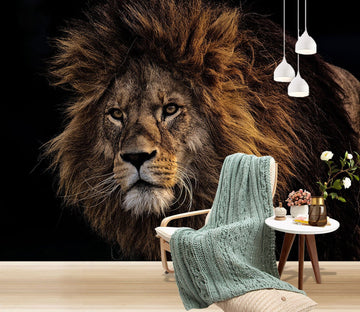 3D Lion Leader 165 Wall Murals Wallpaper AJ Wallpaper 2 