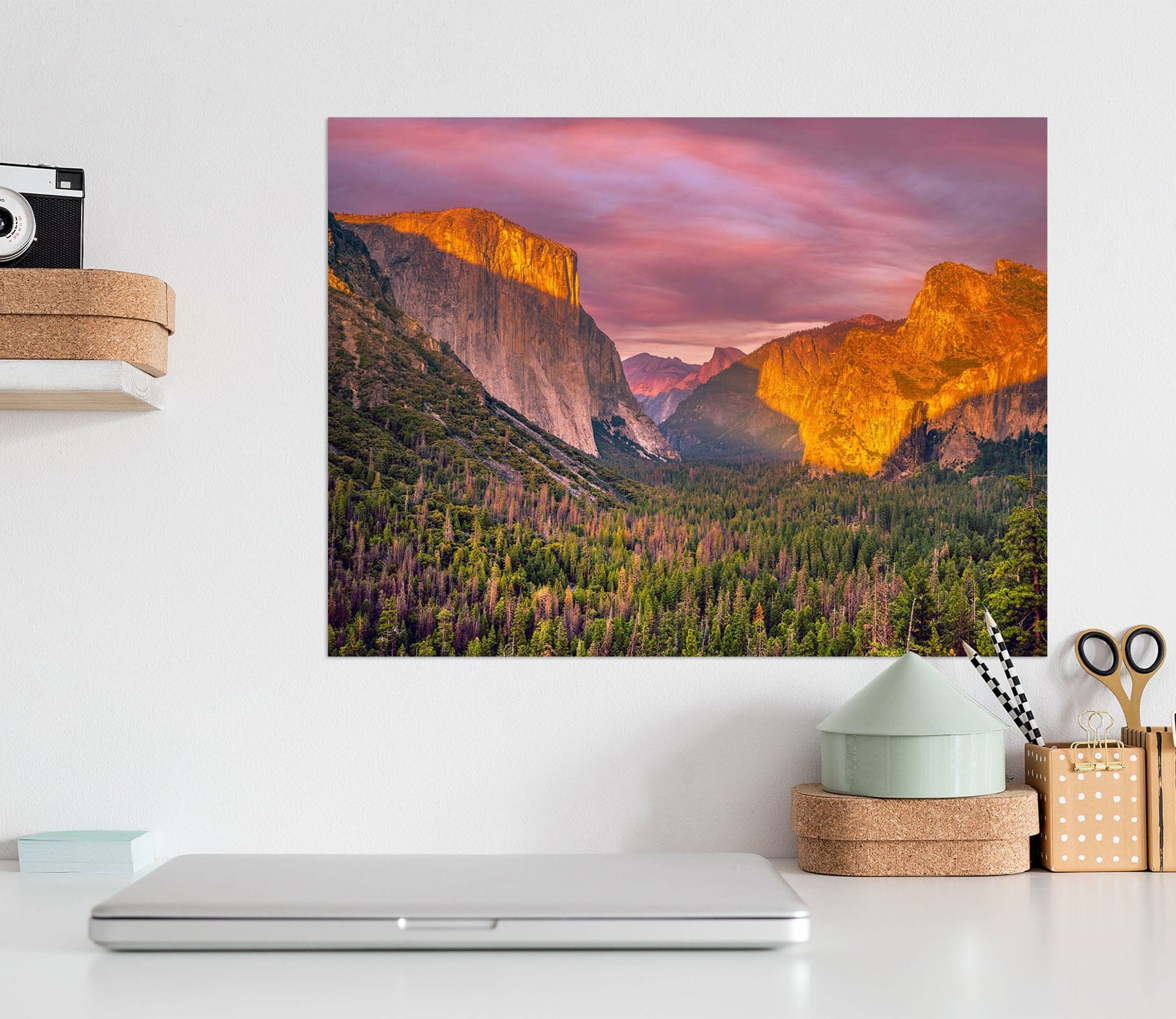 3D Green Forest 226 Marco Carmassi Wall Sticker Wallpaper AJ Wallpaper 2 