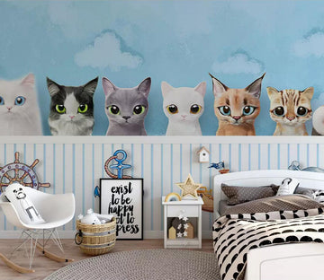 3D Color Kitten WC565 Wall Murals