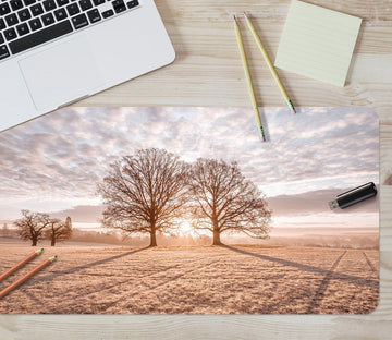 3D Sunset Tree Shadow Lawn 12457 Assaf Frank Desk Mat